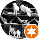 archana jain profile picture